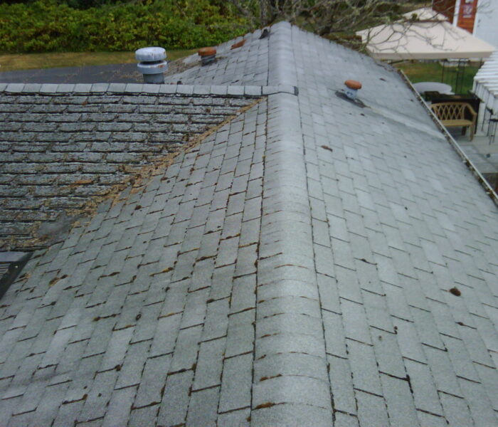 img00195 20120823 1546